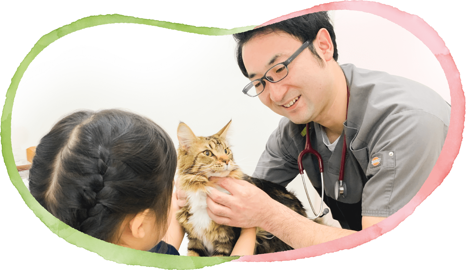 石川県白山市の動物病院 さくら動物クリニック 犬 猫 ウサギ ハムスターの治療はお任せください